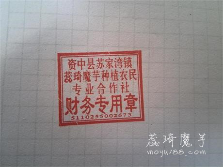 财务专用章